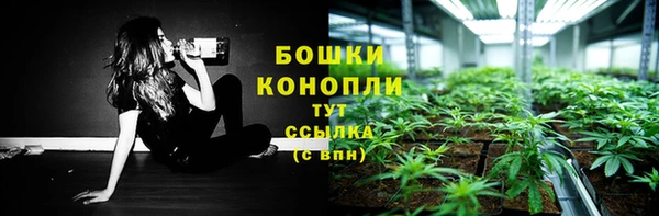 PSILOCYBIN Гусь-Хрустальный