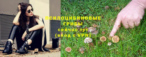 стафф Гусев