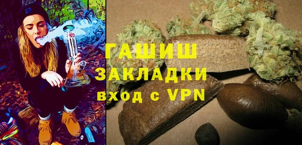 стафф Гусев