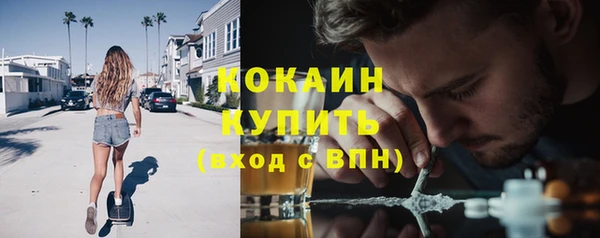 стафф Гусев
