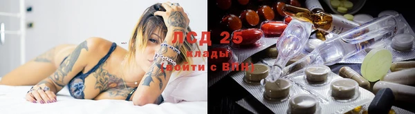 стафф Гусев