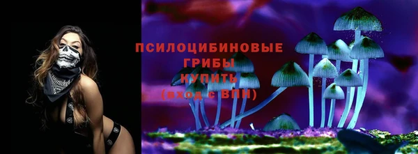 PSILOCYBIN Гусь-Хрустальный