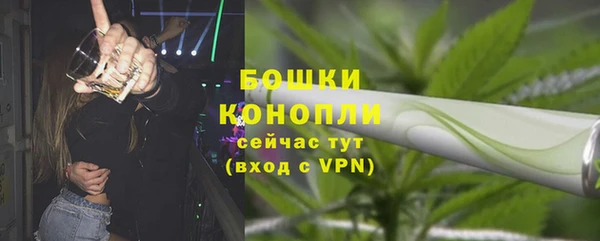 стафф Гусев
