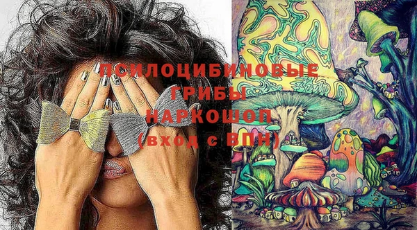 стафф Гусев