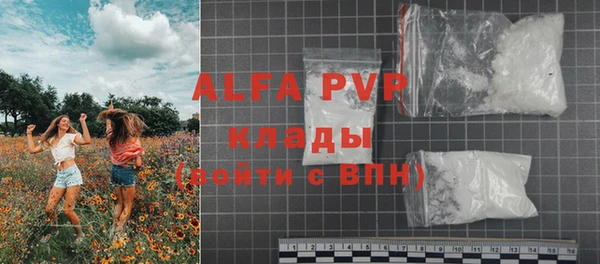 стафф Гусев