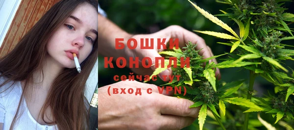 стафф Гусев