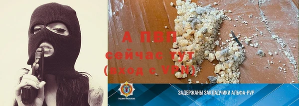 стафф Гусев