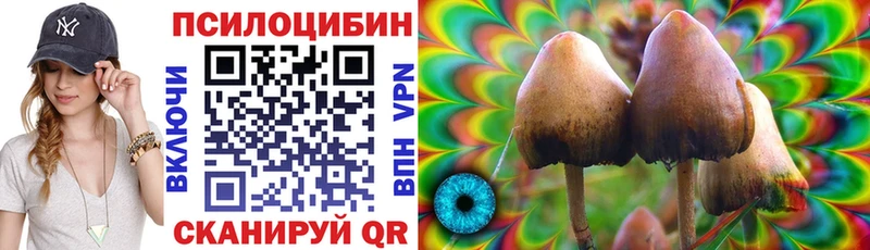 Галлюциногенные грибы Magic Shrooms  Москва 